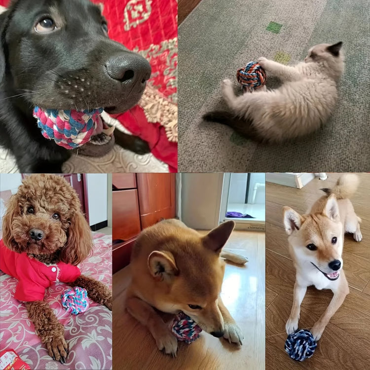 Colorful Rope Ball Chew Dog Toy