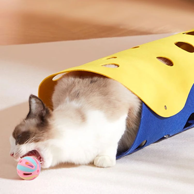Colorful Bell Ball Cat Toy Set for Active Indoor Cats