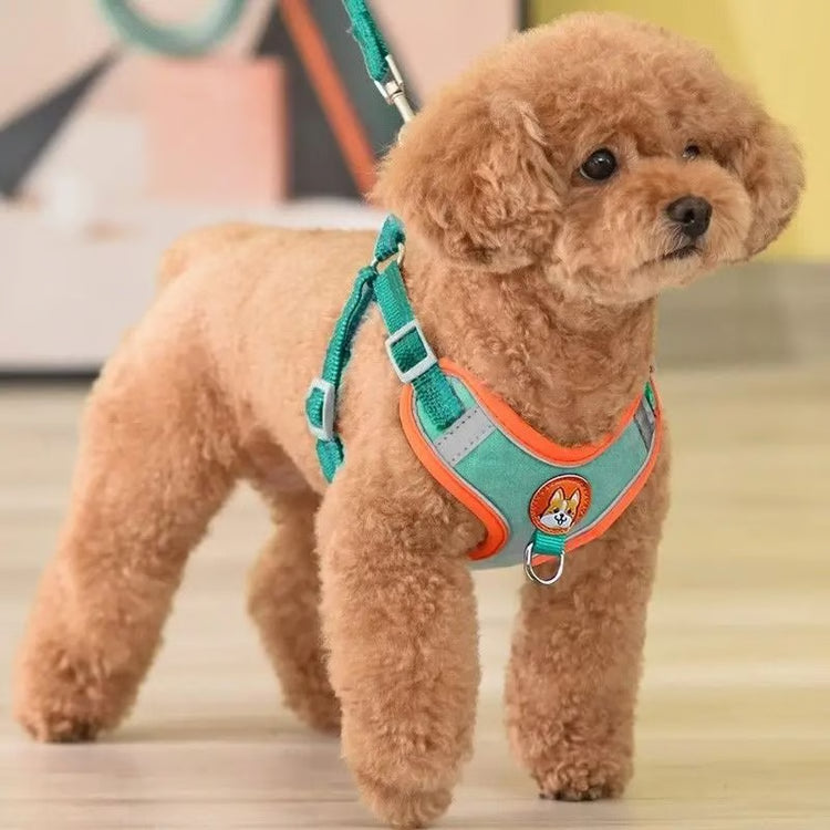Adjustable No-Pull Reflective Dog Harness & Leash Set