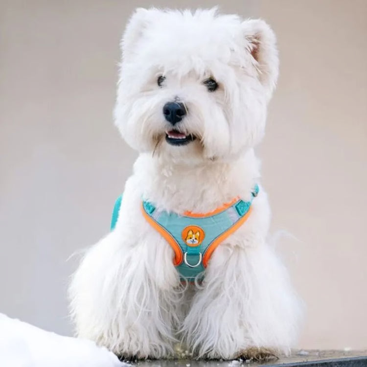 Adjustable No-Pull Reflective Dog Harness & Leash Set