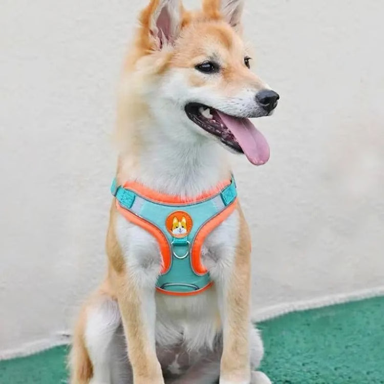 Adjustable No-Pull Reflective Dog Harness & Leash Set