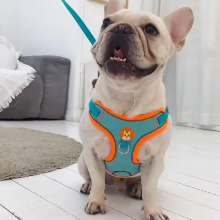 Adjustable No-Pull Reflective Dog Harness & Leash Set