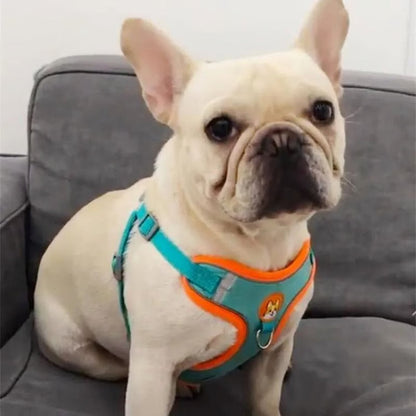 Adjustable No-Pull Reflective Dog Harness & Leash Set