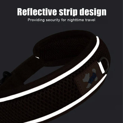 Personalized Reflective Mesh Dog Collar