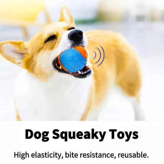 Durable Rubber Squeaky Ball Dog Toy