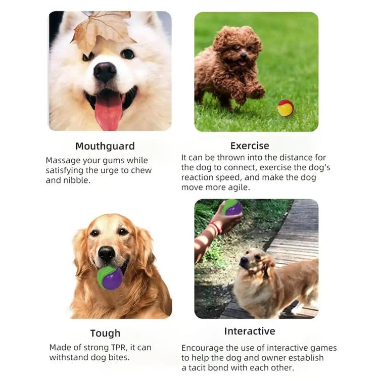 Durable Rubber Squeaky Ball Dog Toy