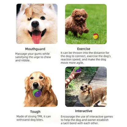 Durable Rubber Squeaky Ball Dog Toy