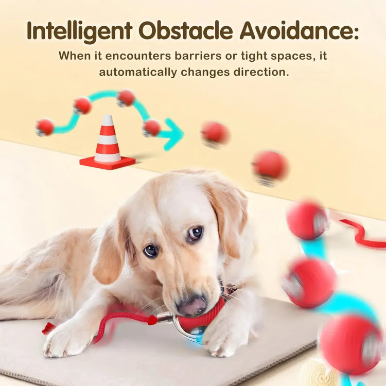 Automatic Rolling Pet Ball with Wagging Tail – Rechargeable Interactive Toy