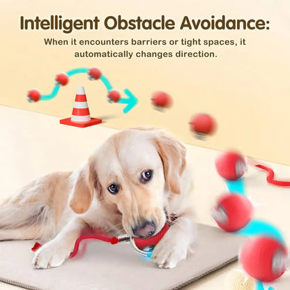 Automatic Rolling Pet Ball with Wagging Tail – Rechargeable Interactive Toy