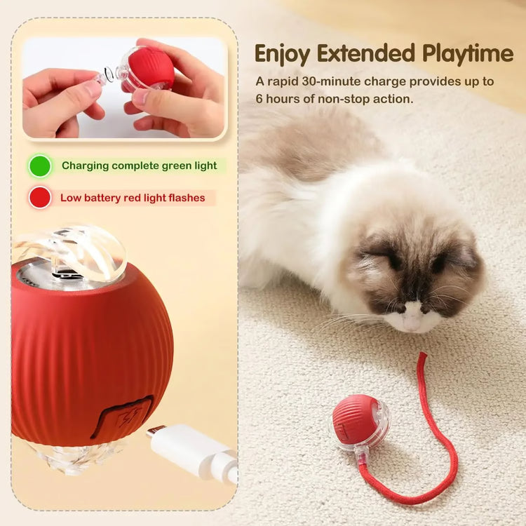 Automatic Rolling Pet Ball with Wagging Tail – Rechargeable Interactive Toy