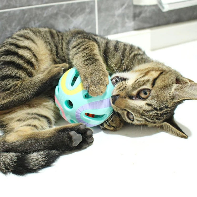 Colorful Bell Ball Cat Toy Set for Active Indoor Cats