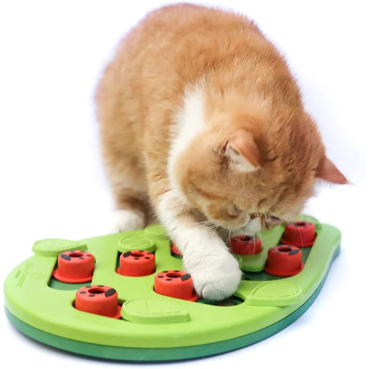 Interactive Cat Treat Puzzle Feeder & Scratch Board – Rainy Day Food Dispensing Enrichment Toy for