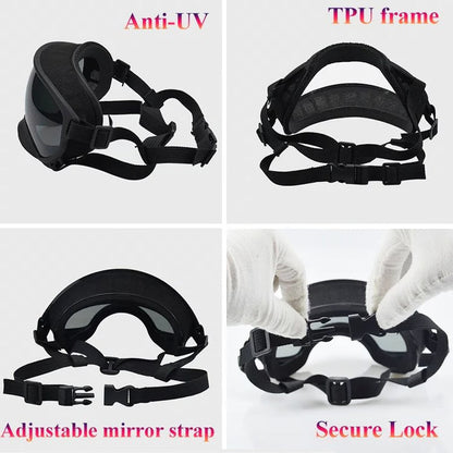 Dog Goggles UV Protection Eyewear